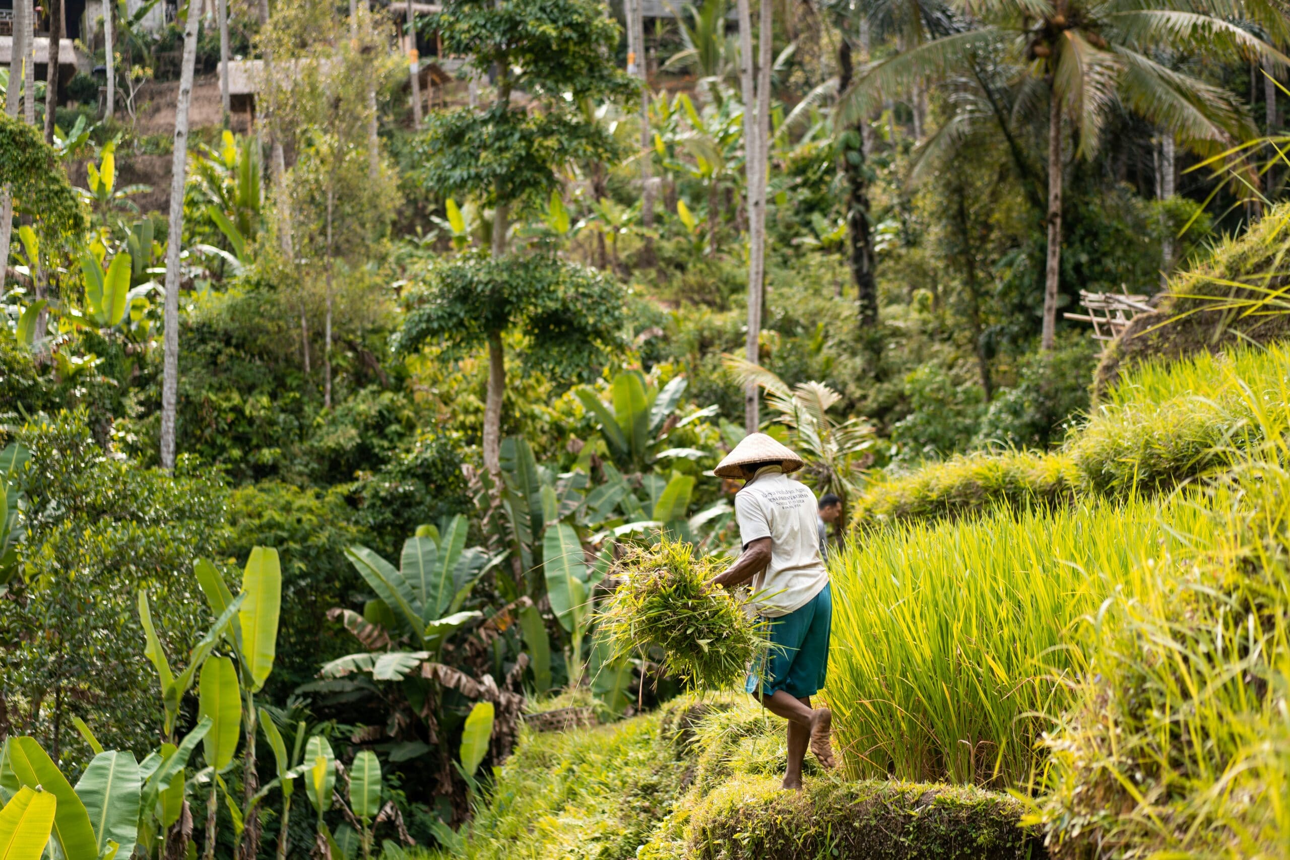 Bali