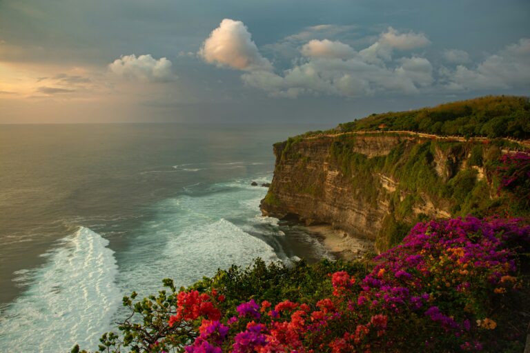 Bali Investment